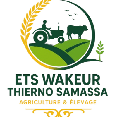 logo_Alassane-png